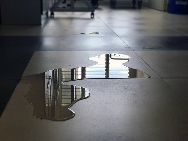 Best 24-hour water damage restoration  in Hamilton, AL