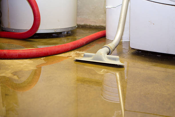 Best Sewage cleanup and water damage restoration  in Hamilton, AL